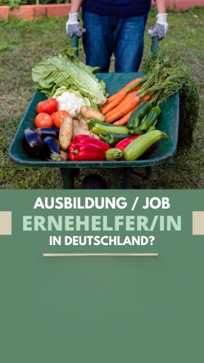 Job 1